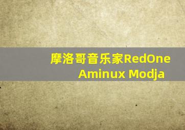 摩洛哥音乐家RedOne Aminux Modja